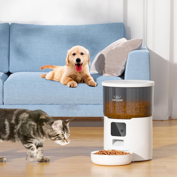 Alimentador Automático para Gatos WiFi - 4L Dispensador de Alimentos Secos para Gatos e Cães 10 Refeições por Dia Alimentador Inteligente para Animais de Estimação