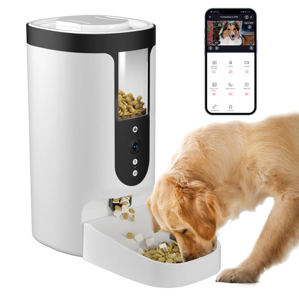 4L Alimentador automático para animais de estimação com câmera, vídeo HD 1080P